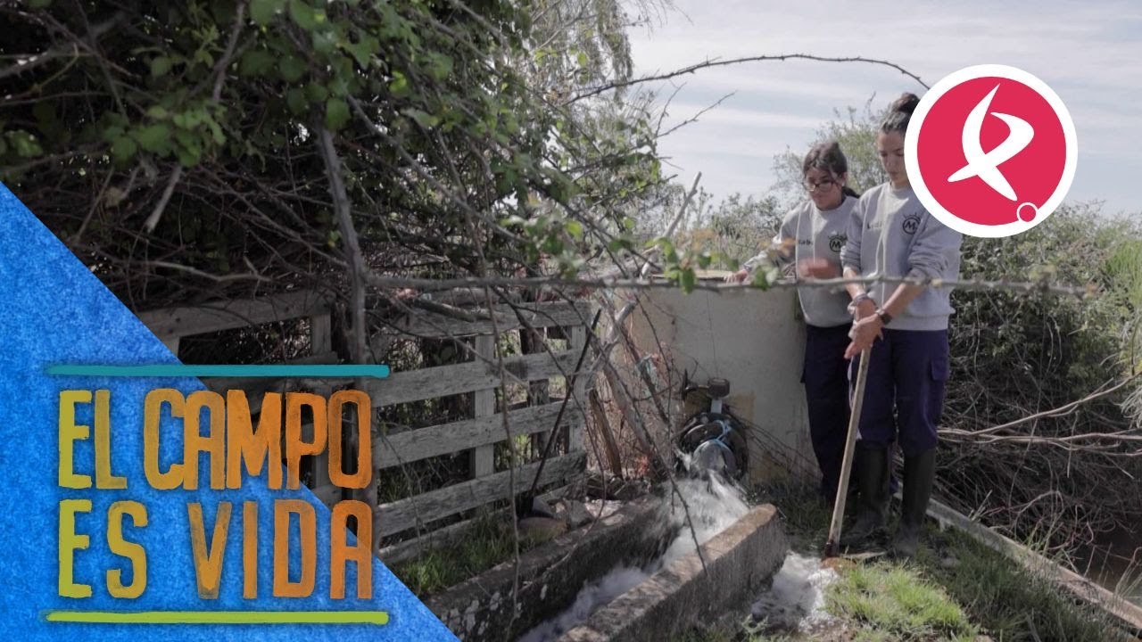 Así es el plan de riego que siguen Isabel y Lidia en Valrío | El campo es vida