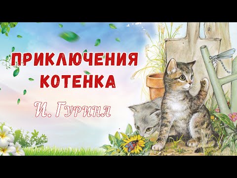 🐱Сказки на ночь - Приключения котенка - Аудиосказки о животных - Сказочная библиотека