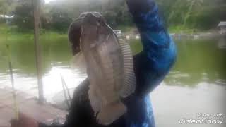 A Mancing Di Rk Dobel Strike Nila