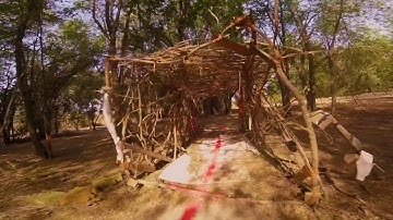 JDR WALK AROUND/ FREESTYLE FPV/ nature fpv / betaflight 4.0.4/ ethix s3/ SMOOTH