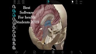 How to know any human body part by using free software ? screenshot 5