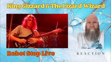 King Gizzard - Robot Stop live in Sydney 2016