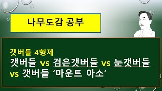 갯버들 vs 검은갯버들 vs 눈갯버들 vs 갯버들 '마운트 아소'의  서로 다른 차이점을 살펴보겠습니다.