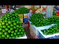 [Eng Sub] Amazing Wet Market Scenes!! The Biggest Wholesale Market In Phnom Penh, Cambodia