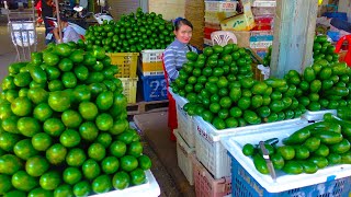Cambodian Bustling Fresh Wholesale Market | Fresh Veggies, Exotic Fruits, Pickled Crab & More [Eng]