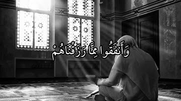 يَتْلُونَ كِتَابَ اللَّهِ وَأَقَامُوا الصَّلَاةَ | سورة فاطر | علي جابر