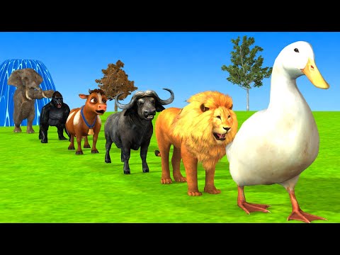 دعاء خاشع في اليوم التاسع من شهر رمضان المبارك دعاء خاشغ تهتز له القلوب   علاء عقل