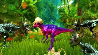Pachy vs Dilophosaurus - Pachycephalosaurus Simulator - Android Gameplay #15 - Dinosaur Simulator screenshot 3