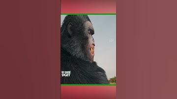 Looking for help Kong VS T-Rex - Part 3 | SC GAME DG2T #dinosaur #movie #godzilla #horror #shorts