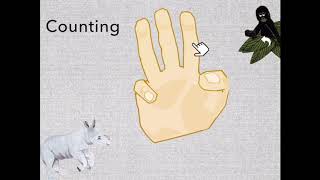 Math Shelf  Prerequisite Skills screenshot 5