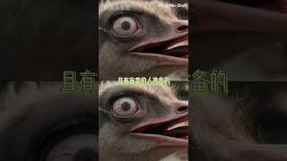 Ai替代不了人類，只會讓有才的人更有才（素材來源Mx-Shell  ）#喪尸清道夫 #AI短片 #國產愛死機 #創作者 #AI