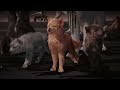 Middle of video