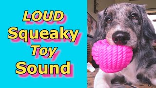 Squeaky Toy Sounds ,Sounds Dogs React To, Sounds that attract dogs  #prankyourdog #squeaky screenshot 2