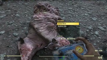 Alien Location - Seasonal Random Encounter | Fallout 76