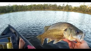 Australian B With Lowrance Hook2