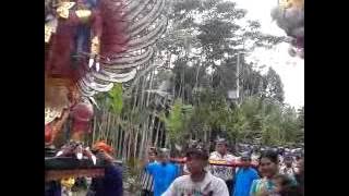 Sunatan Di BANYUWANGI