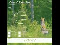 Visio Vulpeculae (小狐の視野) thumbnail