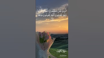 سورة الكهف نورٌ بين الجمعتين،وملجأٌ من الفتن إلى يوم الدين🌷🤍 #أوتار_القلب #قرآن #المصحف #سورة_الكهف