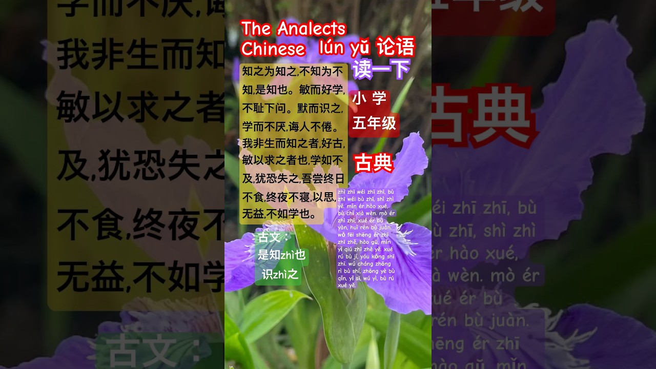 毎日少しずつ中国語。論語、読書📖 No527。#short #中国語リスニング #freemandarinchinese