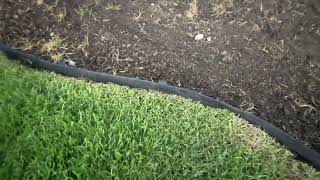 No Dig Landscape Edging Review