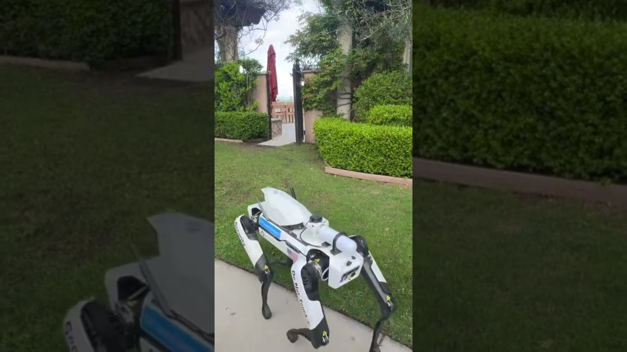 Automated Security in Action:  Pacific Palisades-Robotic Dog Patrols Construction Site | DSP