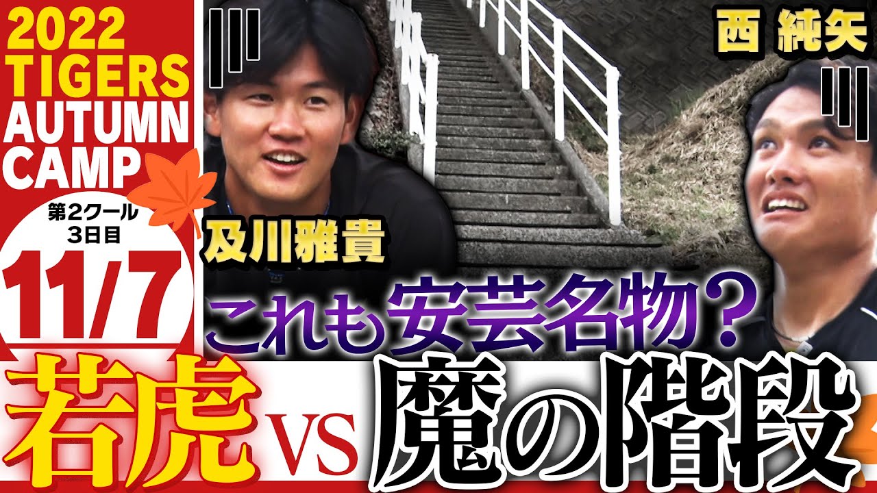 11月7日秋季キャンプ】どこまで飛ばすねん大山驚愕弾連発！前川&井上も