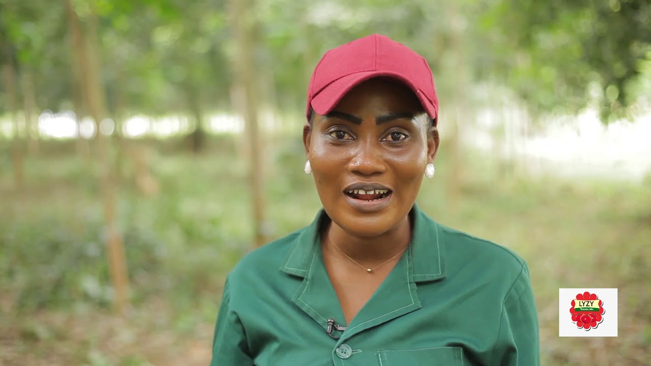 Каучуковая плантация в Гане | Новая дойная корова Ганы. Эпизод 5