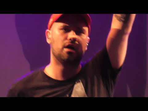 Antilopen Gang live