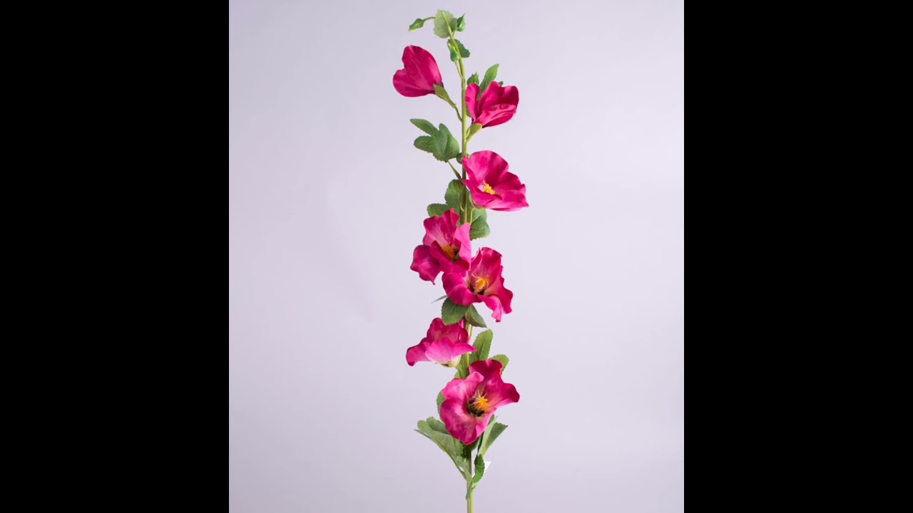 Мальва - народний символ України (заняття-опис)