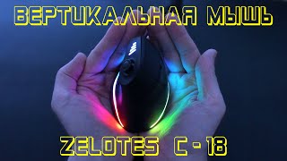 :    Zelotes C-18 |   .   .