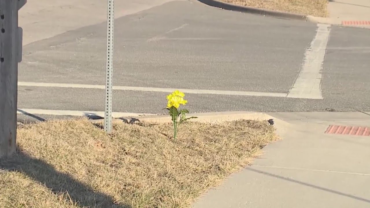 Gardner Edgerton School crossing guard hit by car YouTube