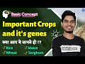 important crops and their genes | Important for Competitive exams | SHIVA Classes