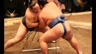 Amazing Sumo Wrestling Body Slam