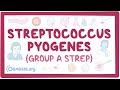 Streptococcus pyogenes (Group A Strep) - causes, symptoms, diagnosis, treatment, pathology