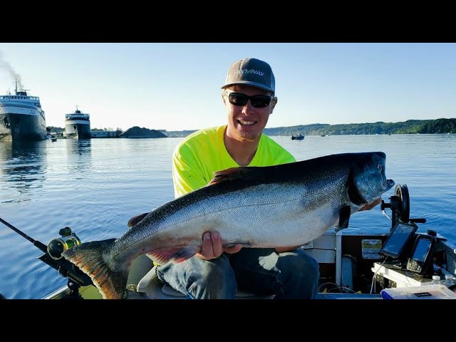 King Salmon Fishing in Ludington Michigan! 