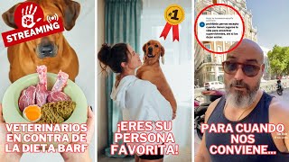 Veterinarios alertan contra Dieta BARF , ¿Eres el favorito de tu perro ? , me puedes llamar PERRO!