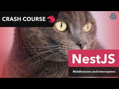 NestJS Crash Course 03 | Middlewares and Interceptors
