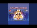 Pavamana Suktam Part 1 - Swadhistaya