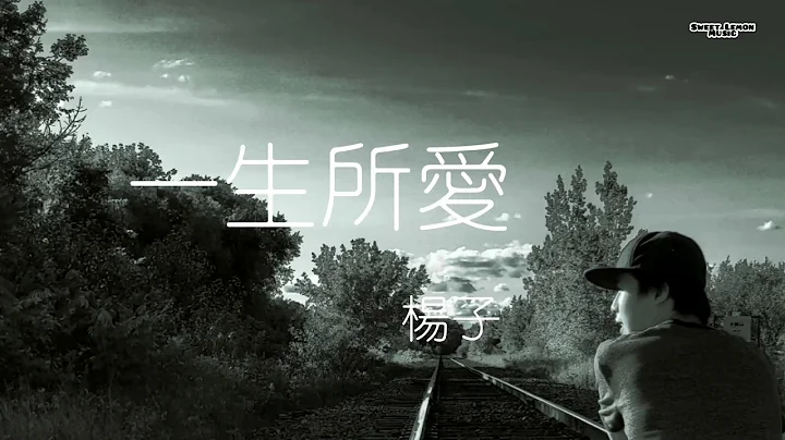 楊子  -  一生所愛  (歌詞字幕) Chinese song lyrics 《live》 - 天天要聞