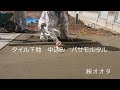 タイル下地　バサモルタル　早送り