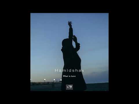 Hamidshax - What is love (Original Mix)