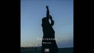 Hamidshax - What is love (Original Mix) Resimi