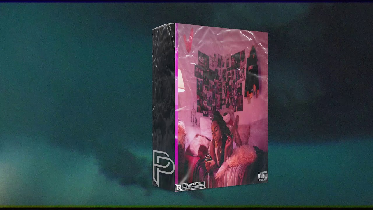 CHIXSAMPLES  Sample Pack (30 Sample Chops inspired by Chixtape V) ☔