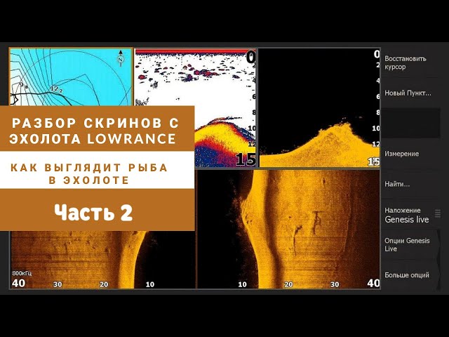 Как выглядит рыба в эхолоте? Часть 2. Разбор скринов с эхолота Lowrance HDS Live 9«, Elite Ti2 9».