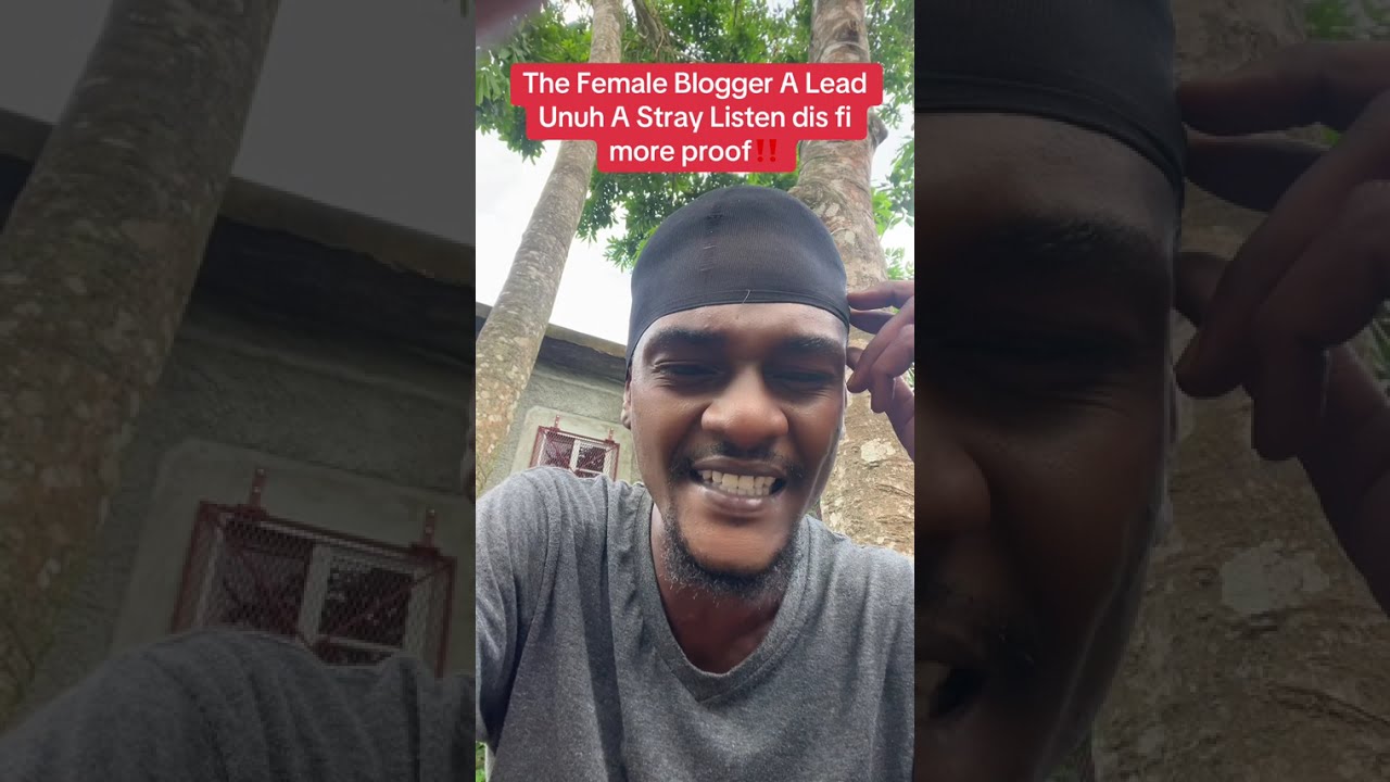 Маленький блогер голоден и готов на все, чтобы этого добиться… Тикиане нельзя доверять!