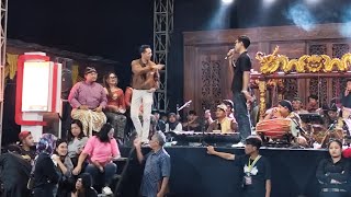 Download Lagu PUJANINGSIH - Tadeus LAVORA ft Dr Inggar Bagus Wibisana || Turonggo Mudho Tri Manunggal SADAR BUDAYA MP3