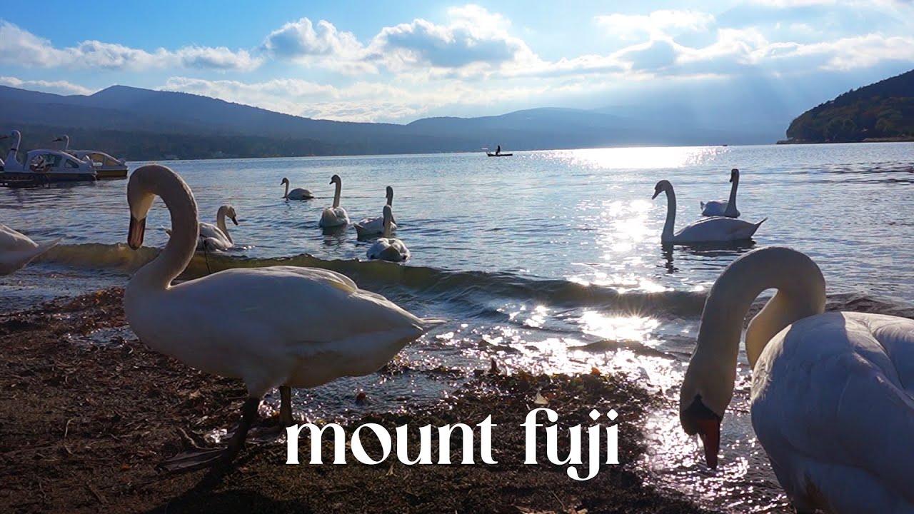 Mount Fuji Hidden Gems 🇯🇵✨ 富士山必去 🚗 Kawaguchiko Food & Chureito Pagoda