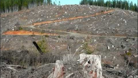 Caltrans Bypass (Willits, California): "Rise Up" Original Song