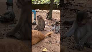 2023 10 05 11 43 IMG 6217