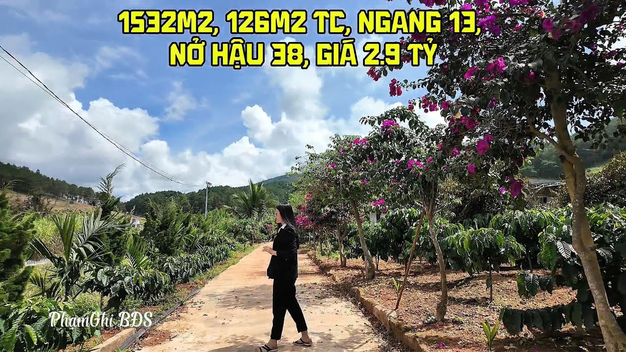 Lô Đất Hiếm Gia Lâm 2 – Nam Ban, Lâm Hà | 1.532m² Giá Chỉ 2.9 Tỷ | Sổ Sẵn, Gần Đà Lạt